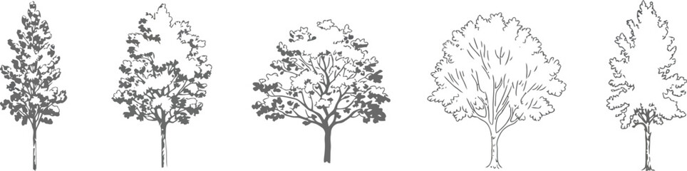 Fototapeta premium Minimal CAD Tree Drawings Side View Outline Set for Architectural and Landscape Plans, Clean Vector Tree Symbols for Urban Design, Garden Planning, Professional Drafting Graphics