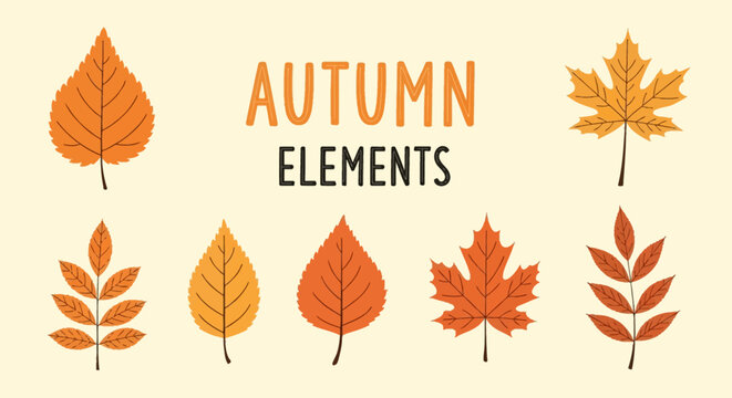 Set of hand-drawn autumn elements vector illustrations featuring various leaf types like maple, birch, and rowan in seasonal colors of orange, yellow, and brown on a plain light background.