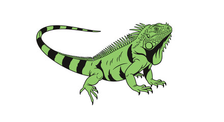 Obraz premium Detailed green iguana illustration captures the scales and features of this exotic lizard with a long striped tail on a white background.