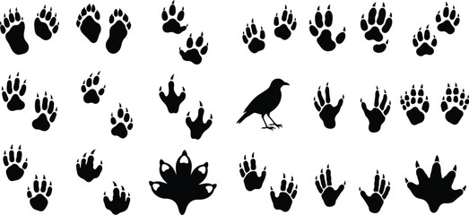 Obraz premium Animal tracks and a bird silhouette a wildlife scene