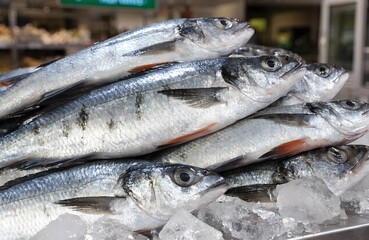 Obraz premium Fresh Fish on Ice at Seafood Market – Food, Nutrition, Retail, Cuisine, Ocean, Catch, Preservation, Display, Fish, Ice, Fresh, Seafood, Market, Food, Retail, Nutrition 