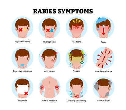 Rabies symptoms icon. Labeled man light sensitivity, hydrophobia, headache, fever, excessive salivation, aggression nausea pain around area insomnia paralysis difficulty swallowing hallucinations.