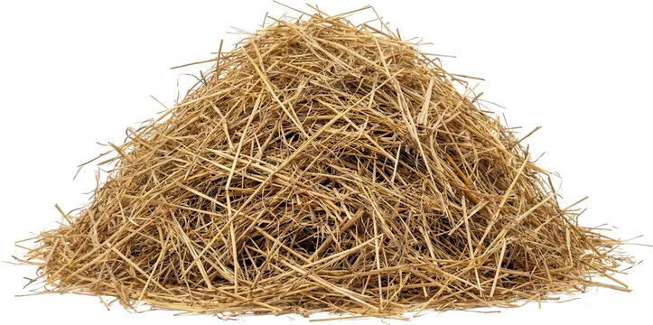 A large textured pile of golden dried straw material showcasing its natural fibrous composition and organic form creating a rustic and earthy aesthetic hay bale dry agriculture