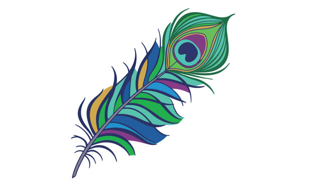 Colorful peacock feather illustration isolated on white background