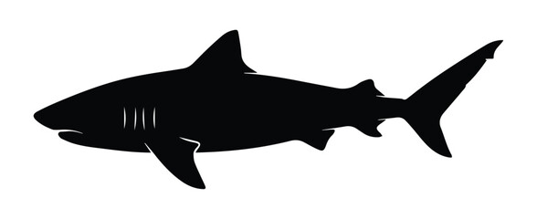 Fototapeta premium Tiger Shark Shape Icon Silhouette Vector black design on a white background