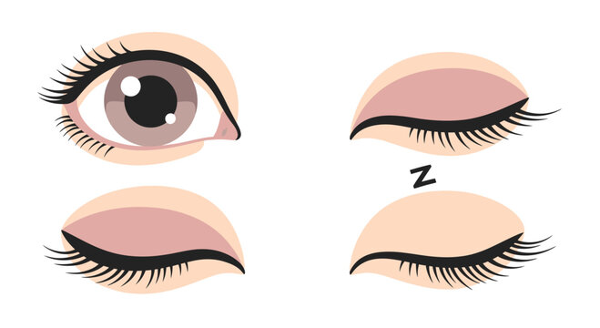 Woman's Eye Makeup Tutorial Steps: Open, Closed, Sleeping, Winking