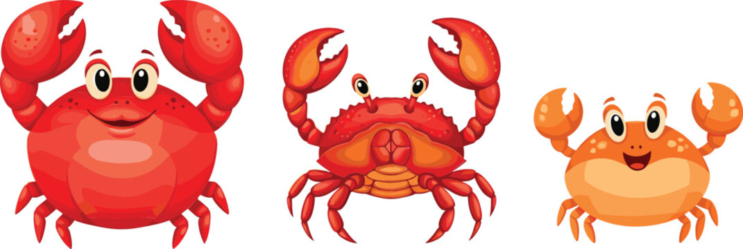 Set of cartoon crabs vector illustration featuring cute red and orange sea animals with claws for marine life ocean kids design and seafood themes