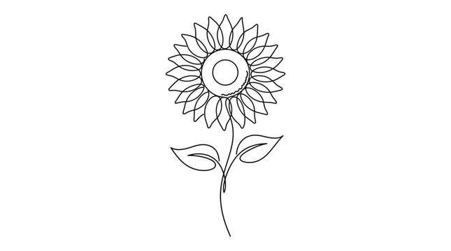 Elegant Continuous Line Art Drawing of a Blooming Sunflower Blossom