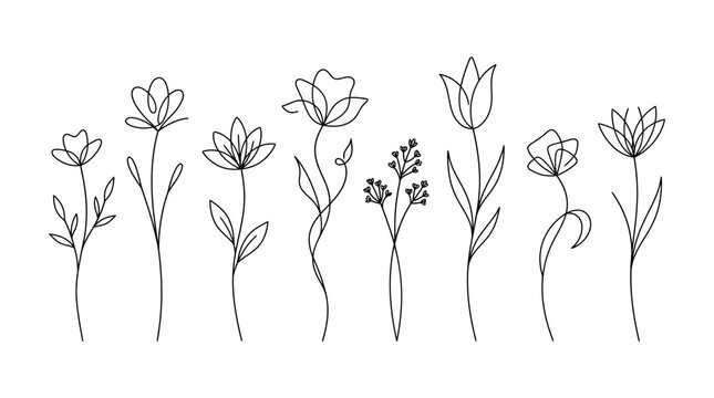 Minimalist Line Art Flowers Collection Elegant Floral Botanical Illustrations