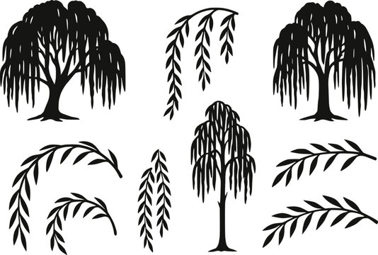 Weeping willow tree multiple types silhouette vector illustration set