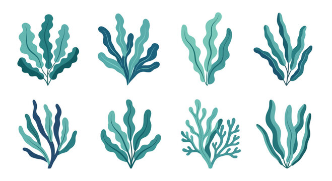 Set of stylized underwater seaweed and coral illustrations in various shades of blue and green