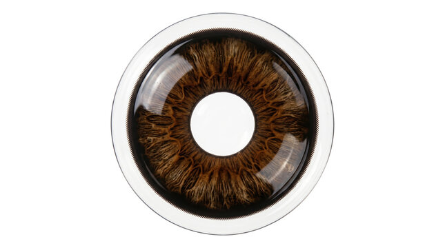 Realistic dark hazel contact lens with intricate iris detail