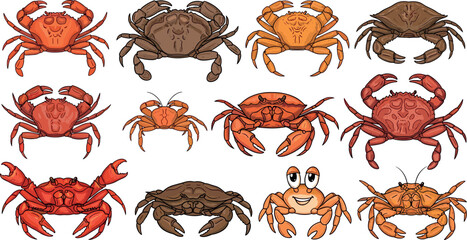 Cartoon and realistic crab vector set featuring various marine crustaceans styles isolated on light background for seafood illustration design © MdAbdul