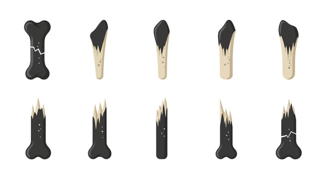 Set of primitive bone tools and weapons, ancient stone age artifacts, caveman tools, isolated on white background