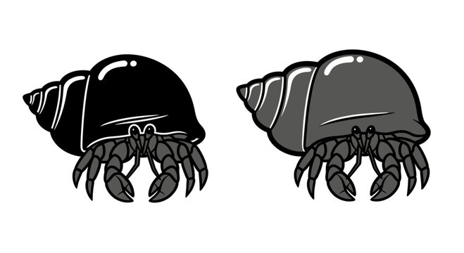 Two hermit crabs in shells, one black and one gray, isolated on white background