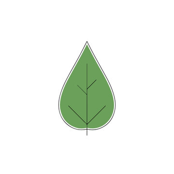 A simple green leaf with a teardrop shape and veins