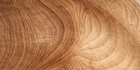 A closeup of a natural brown wood texture background shows the macro pattern of a round timber log surface with a textured tree ring design on a cut stump board © Pixel Art