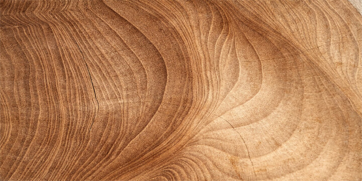 A closeup of a natural brown wood texture background shows the macro pattern of a round timber log surface with a textured tree ring design on a cut stump board