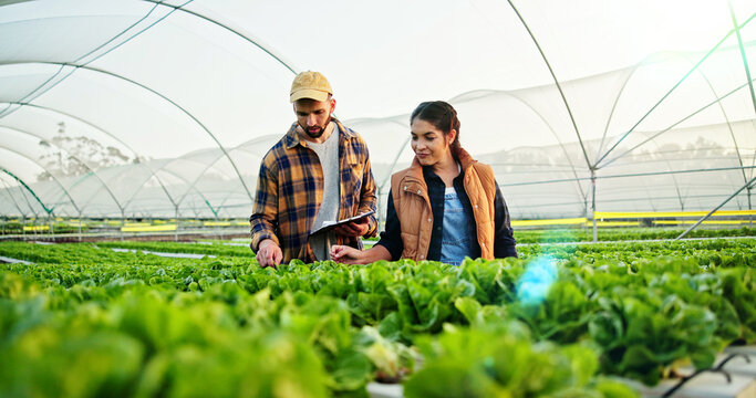 Team, discussion and people on farm with checklist for quality control, sustainability or harvesting. Agriculture partner, nature or farmer with agro business with clipboard, healthy crops or produce