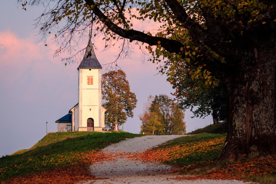 View of a historic white church on a grassy hilltop with autumn leaves on a path and sunset sky Slovenia.