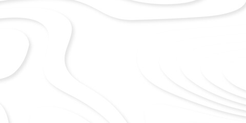 white topography map geography relief diagram texture design. Topography white background and black line world map texture design. Lines Topographic contour lines grid map seamless pattern. © MDFAIMIDULISLAM