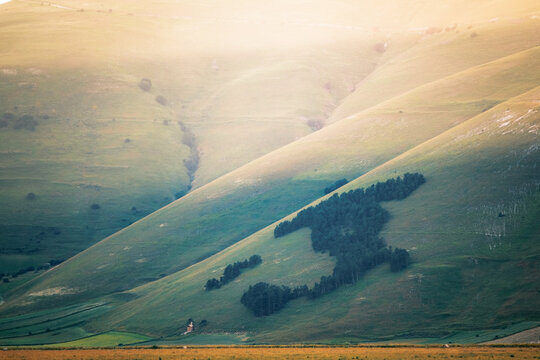 View of the famous Italy-shaped forest on the rolling green hills under soft golden light in Castelluccio, Umbria, Italy.