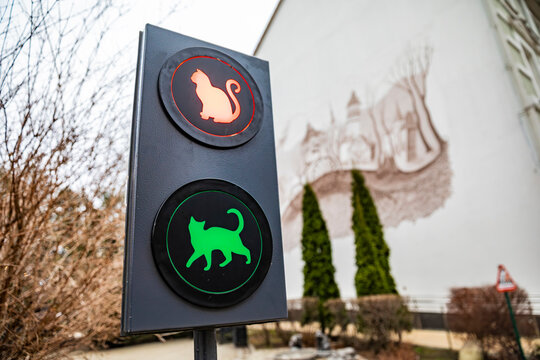 Outdoor pedestrian traffic light for cats