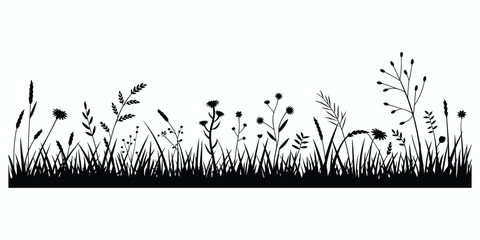 Black silhouette of wild grass and flowers on white background © MDRAJU