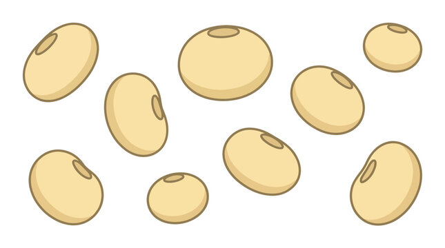 Multiple light beige soybean seeds arranged in a simple pattern to represent a healthy organic plant based protein source for a vegan diet