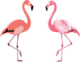 Fototapeta premium Beautiful pink flamingo bird vector set in various shades and poses for tropical summer vacation themes, exotic wildlife nature illustrations, and elegant zoo animal designs isolated on white 