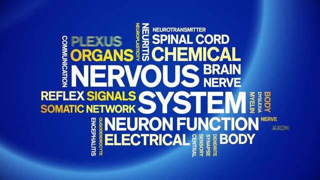 Nervous System animated word cloud-text design animation tag kinetic typography seamless loop.