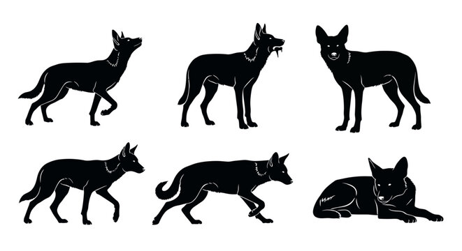 Dingo Silhouette Set: Wild Australian Canine Poses