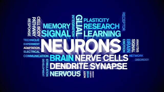 Neurons animated word cloud-text design animation tag kinetic typography seamless loop.