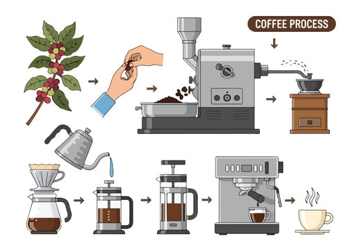 A detailed illustration of the coffee-making process