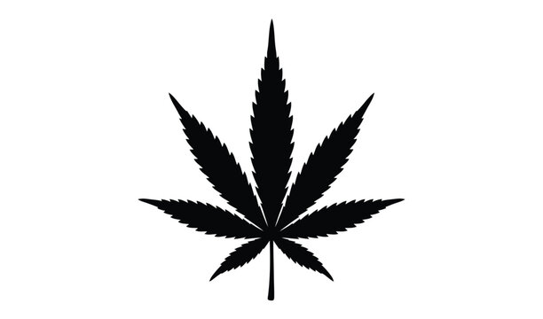 Silhouette Illustration Of A Cannabis Leaf, Black And White, Isolated On White Background, Symbol Of Medical Marijuana And Hemp Plant.