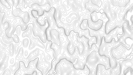 Abstract Topographic Map Background with Gray Contour Lines. Topography Map Pattern with Minimalist Wavy Curvy Lines © Mst