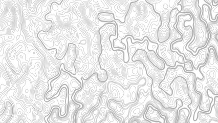 Abstract Topographic Map Background with Gray Contour Lines. Topography Map Pattern with Minimalist Wavy Curvy Lines © Mst