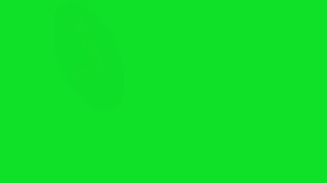 3D Back Right arrow Bubble 4k stock animation video on a green screen background for chroma key background for video editing.