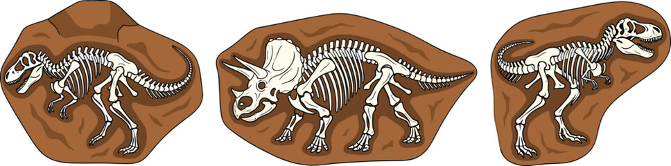 Prehistoric Dinosaur Fossil Skeleton Collection Set with T-Rex Triceratops Bone Excavation in Rock Flat Style Vector Illustration for Science and Education Design © MstSelina