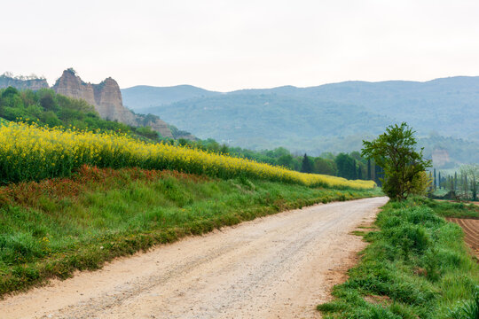 View of the Balze del Valdarno clay formations along a dirt road with yellow flower fields and rolling hills in Piantravigne, Tuscany, Italy.