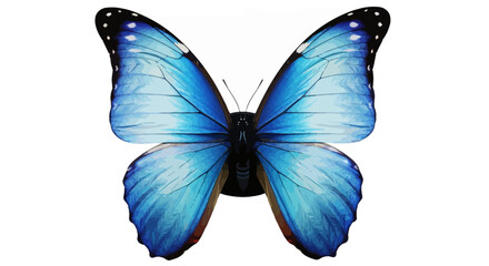Fototapeta premium Vibrant blue morpho butterfly with wings spread isolated on white background
