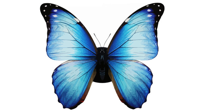 Vibrant blue morpho butterfly with wings spread isolated on white background