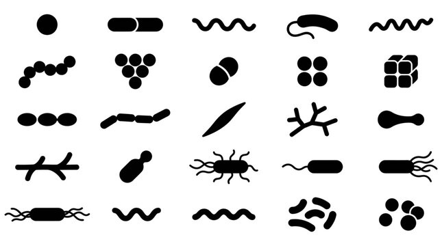 Microorganism silhouette icons A diverse collection of bacterial and cellular shapes for science