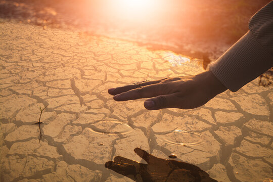 The hand of a person is touching a pond that is about to dry up because of the drought.