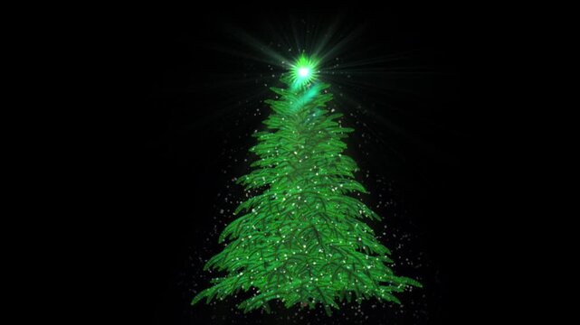 Christmas Magic Tree Loop
Christmas Magic Tree Loop
A tree spins against a transparent background, snow falls, and a star lights up at the tree's tip.