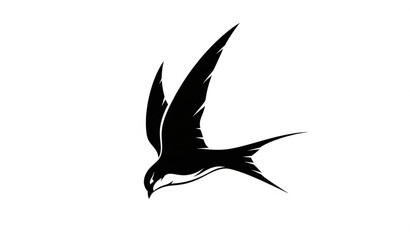 Fototapeta premium Dynamic swift bird diving silhouette vector with sharp wings and forked tail isolated design