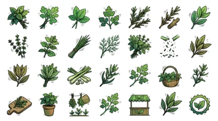 Set of Hand-drawn Doodle-style Culinary Herbs and Spices Icons Featuring Basil Rosemary Parsley Thyme Mint Dill and Oregano Bunches for Organic Food Cooking Gardening and Kitchen Design © Ai