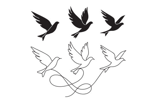 Bird silhouettes and line art drawings on a white background
