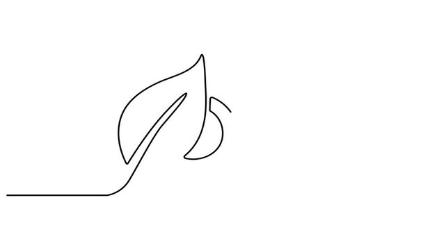 Animated self drawing Continuous one line drawing of Minimalist leaf design, simple line art, black and white illustration, eco friendly symbol