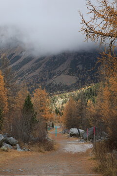 Misty mountains loom above autumn forest. Golden leaves frame a quiet, winding path. Clouds cling to rugged slopes, softening their edges. Lone figure walks toward distant valley, unbothered by fog
